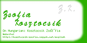 zsofia kosztocsik business card